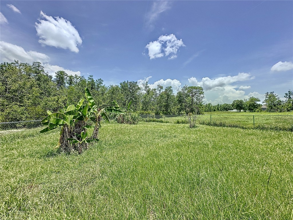 725 Bittern Lane #B Kissimmee FL 34759 S5128225 image32