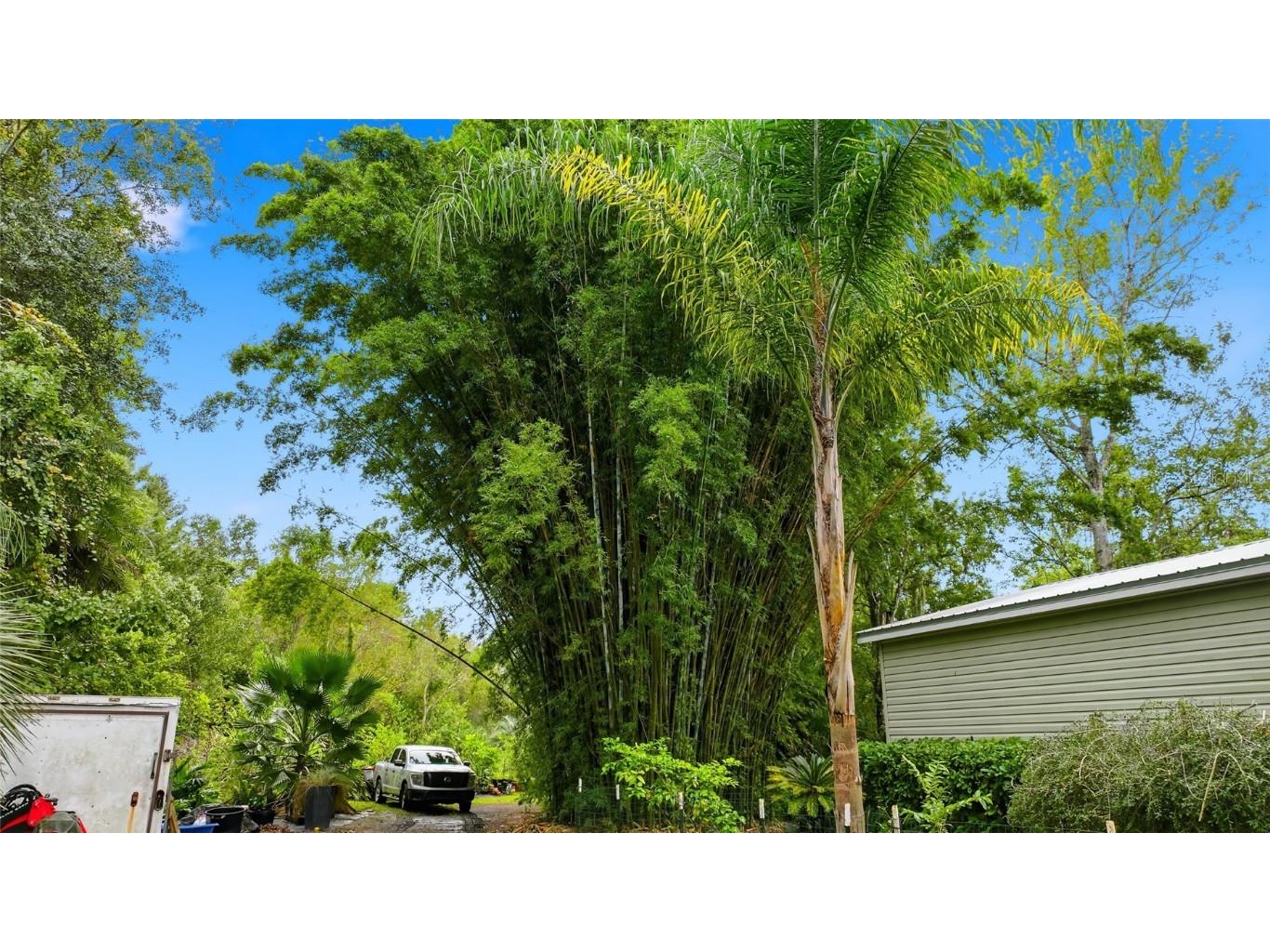 725 Cypress Road Saint Augustine FL 32086 O6356288 image8