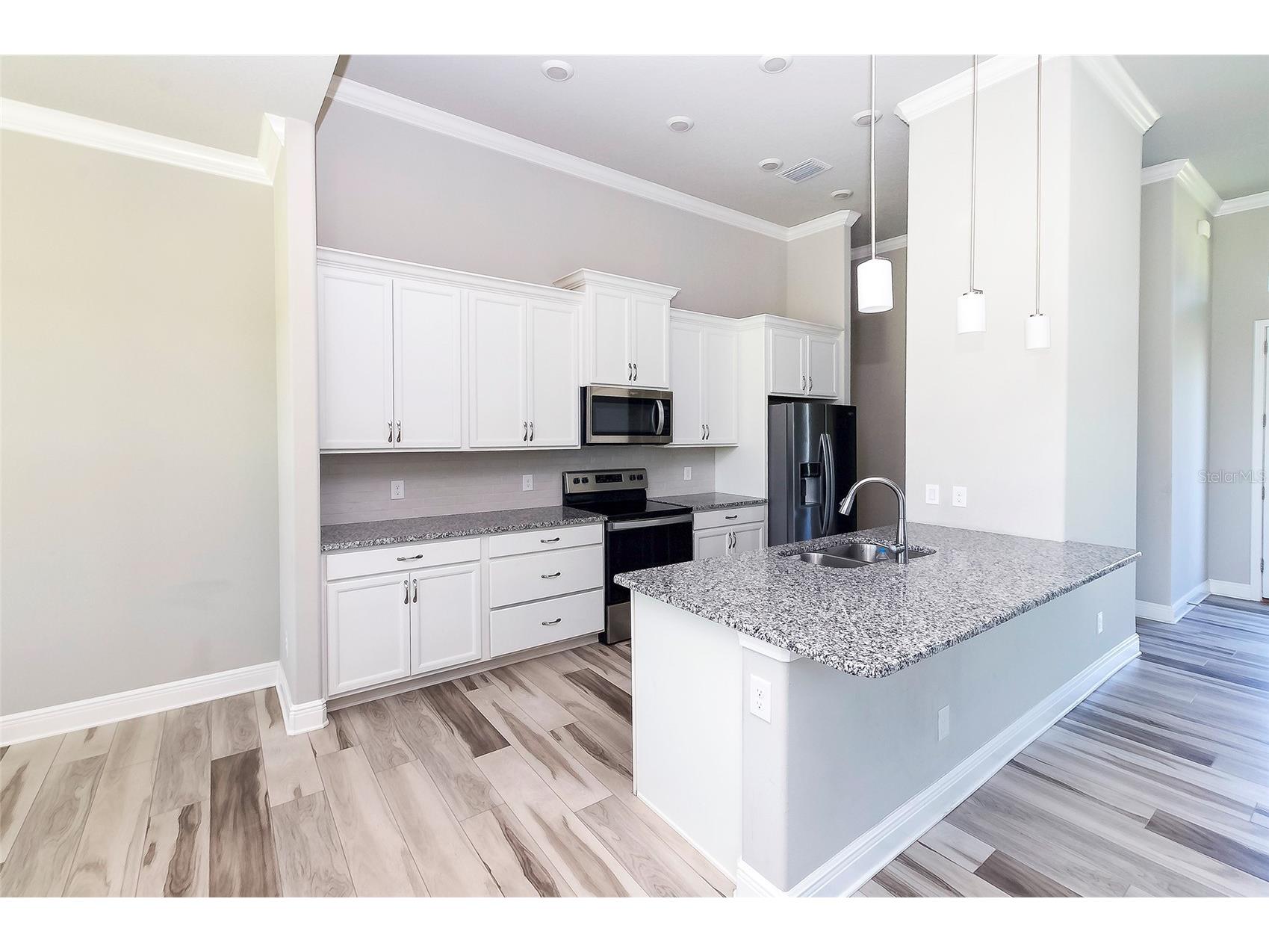 725 E Charleston Court Hernando FL 34442 TB8506867 image9