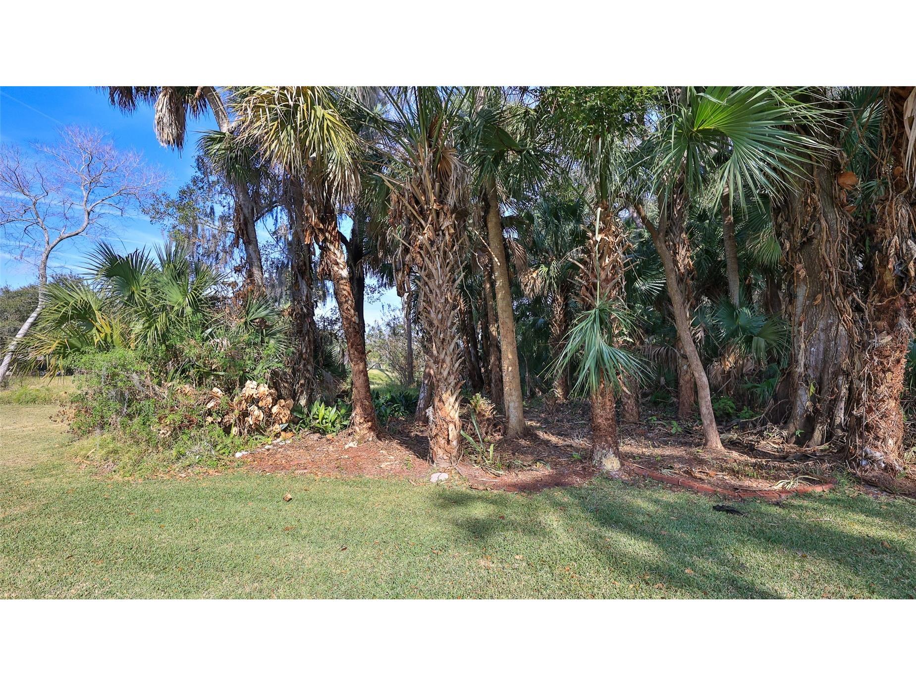 725 Green Road New Smyrna Beach FL 32168 NS1085678 image36