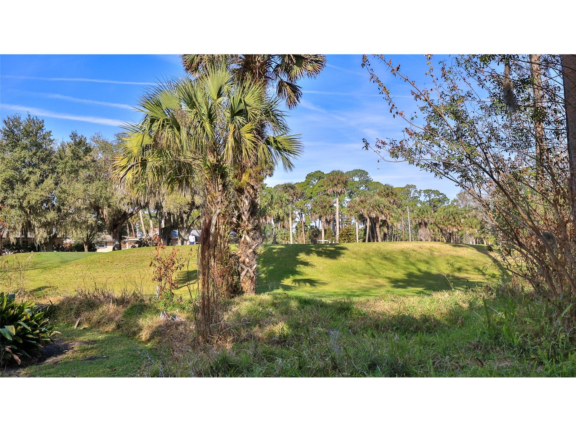 725 Green Road New Smyrna Beach FL 32168 NS1085678 image39