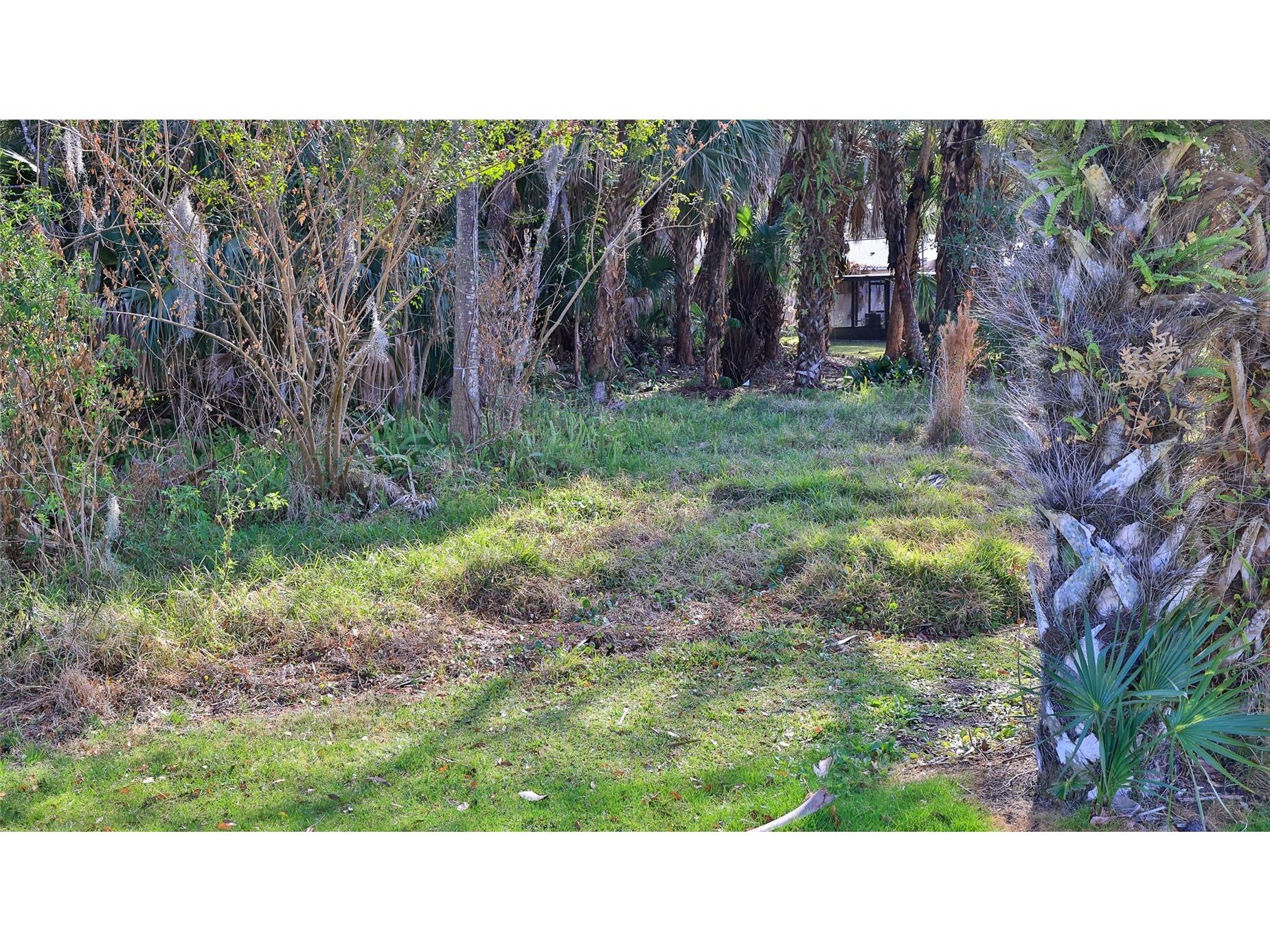 725 Green Road New Smyrna Beach FL 32168 NS1085678 image40