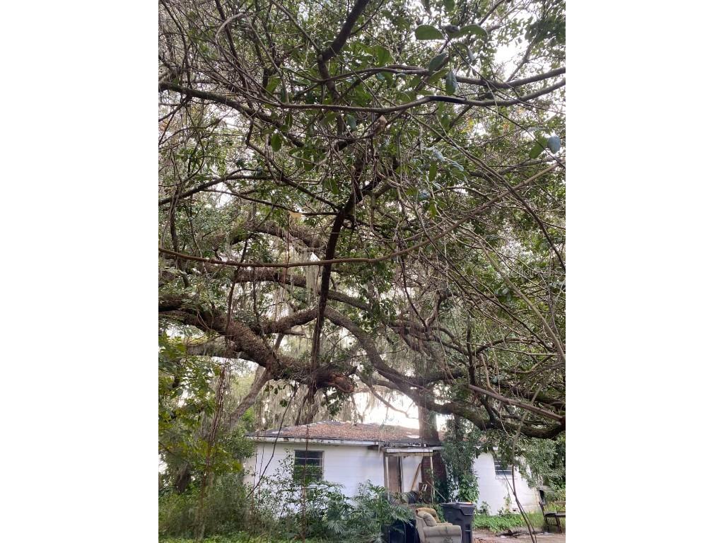 725 Hickory Hammock Road Lake Wales FL 33859 L4956359 image3