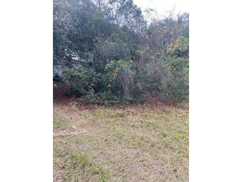 725 Hickory Hammock Road Lake Wales FL 33859 L4956359 image36