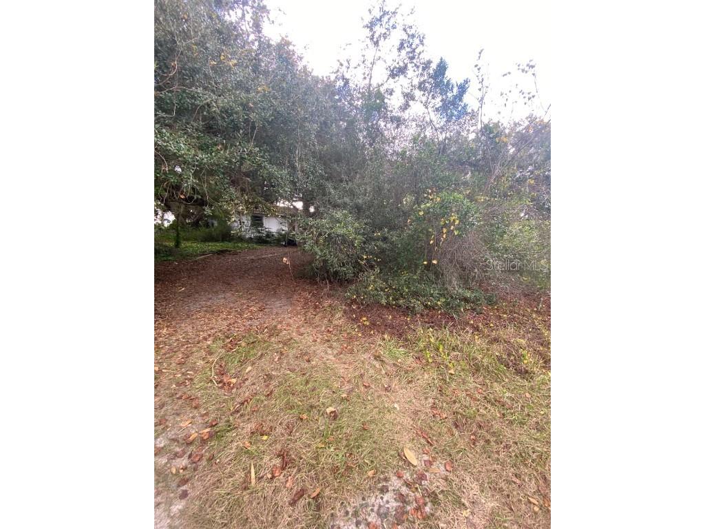 725 Hickory Hammock Road Lake Wales FL 33859 L4956359 image39