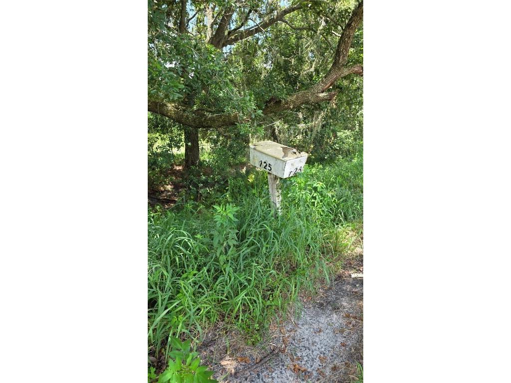 725 Hickory Hammock Road Lake Wales FL 33859 L4956359 image42