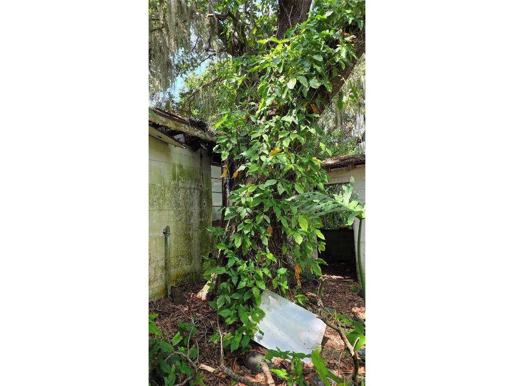 725 Hickory Hammock Road Lake Wales FL 33859 L4956359 image8