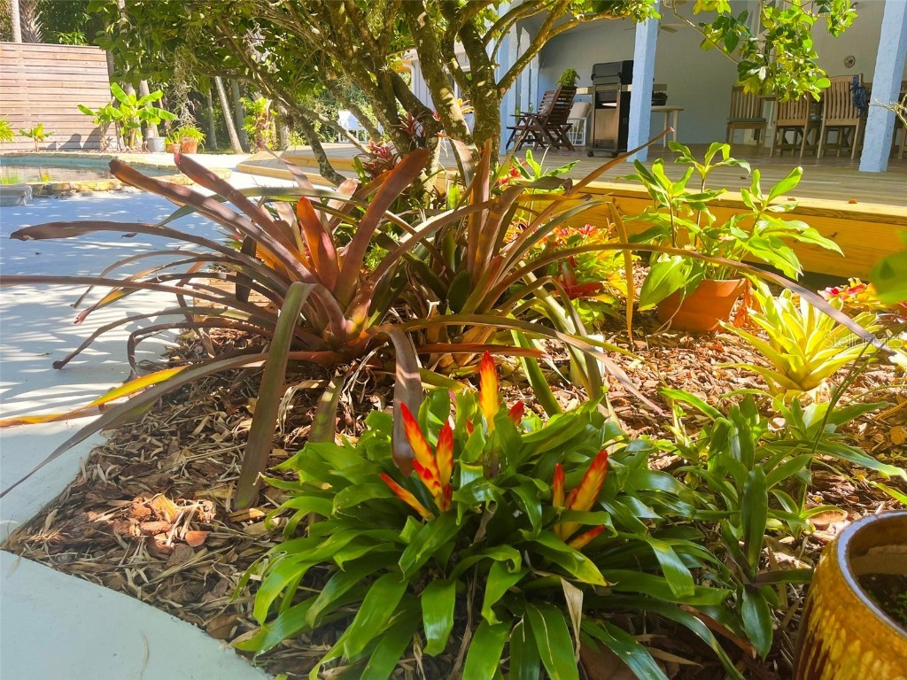 725 Ingham Road New Smyrna Beach FL 32168 NS1084022 image46