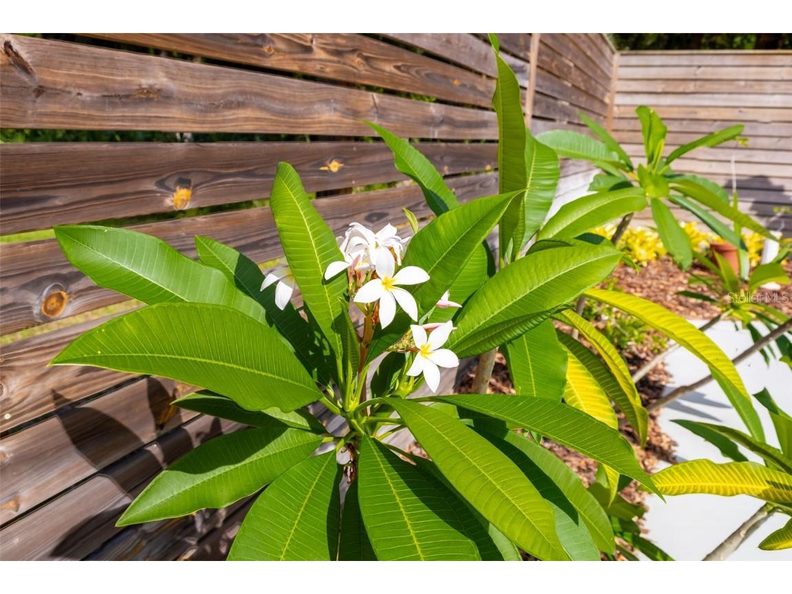 725 Ingham Road New Smyrna Beach FL 32168 NS1084022 image47