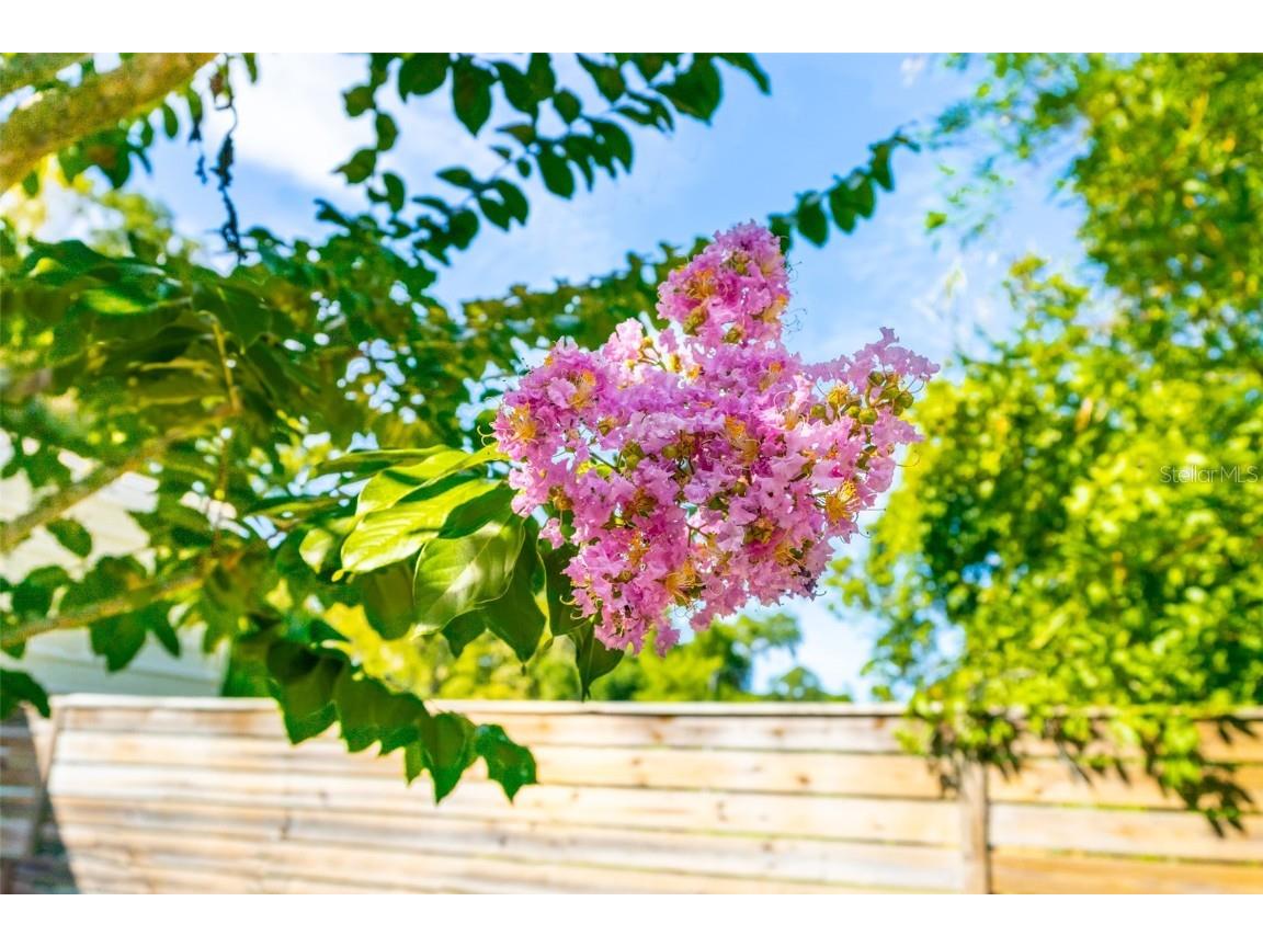 725 Ingham Road New Smyrna Beach FL 32168 NS1084022 image48