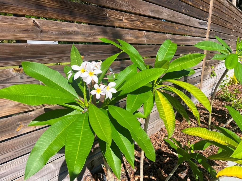 725 Ingham Road New Smyrna Beach FL 32168 NS1084022 image49