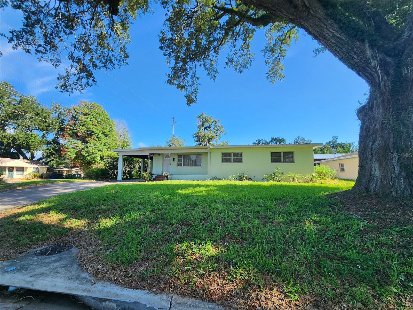 725 Louise Drive Lakeland FL 33803 L4963200 image2