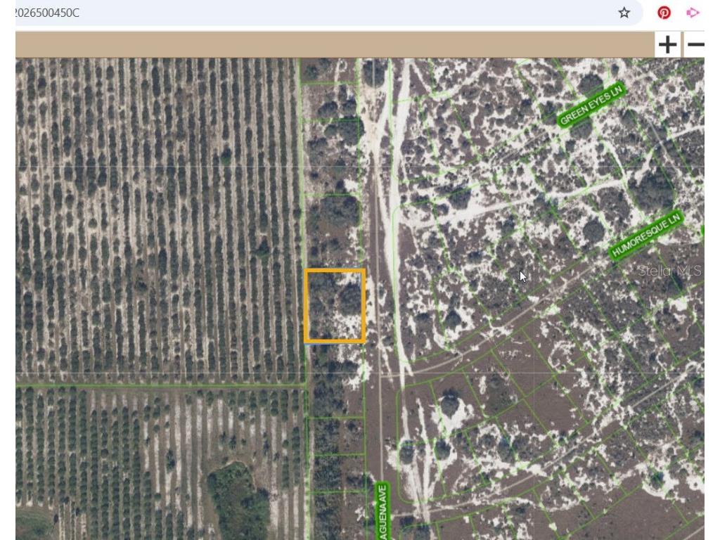 725 Malaguena Avenue Lake Placid FL 33852 TB8449715 image1