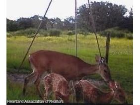 725 Moon Ranch Road Sebring FL 33870 L4945372 image7