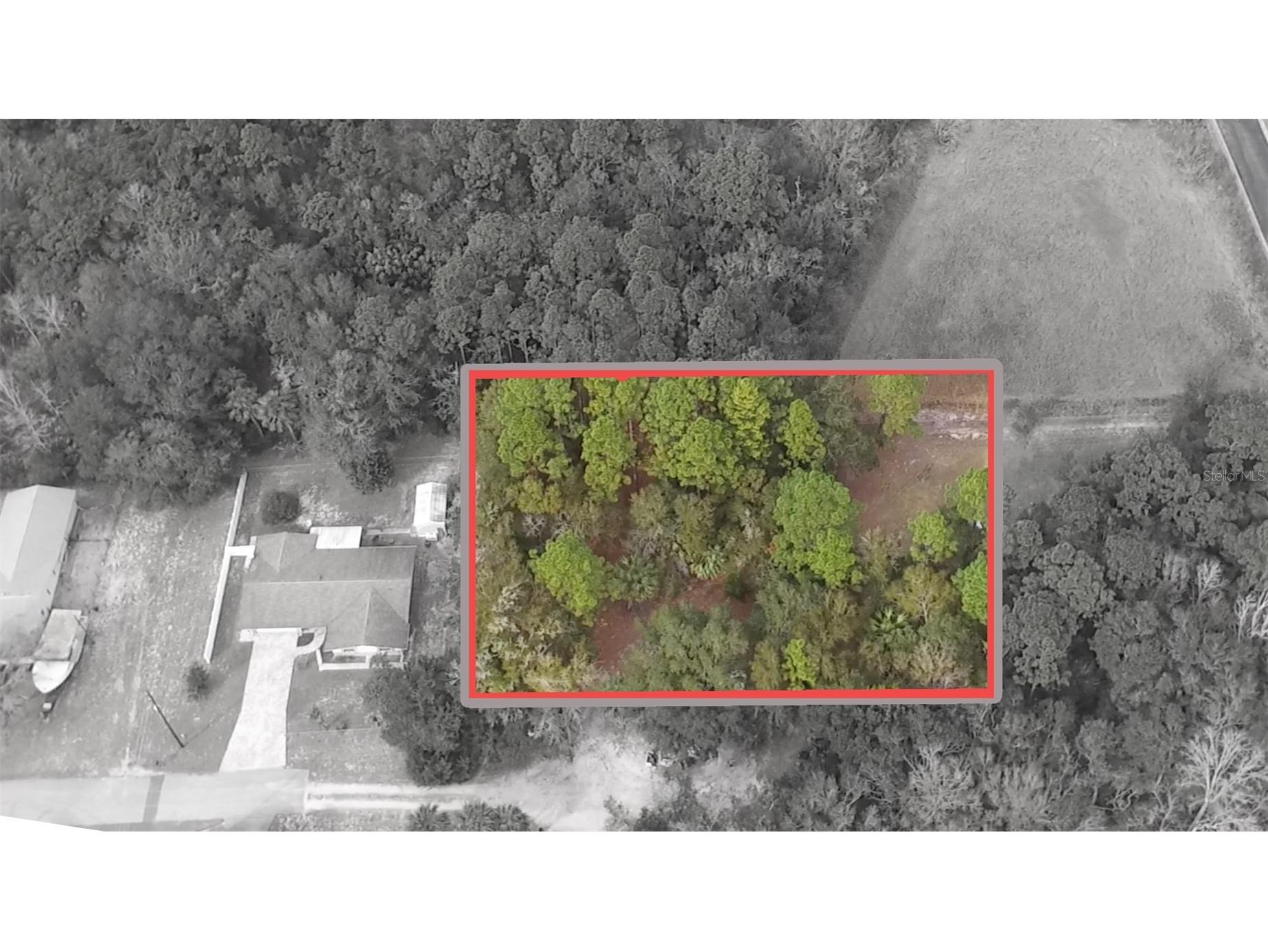 725 NE 13th Terrace Crystal River FL 34428 TB8495600 image2
