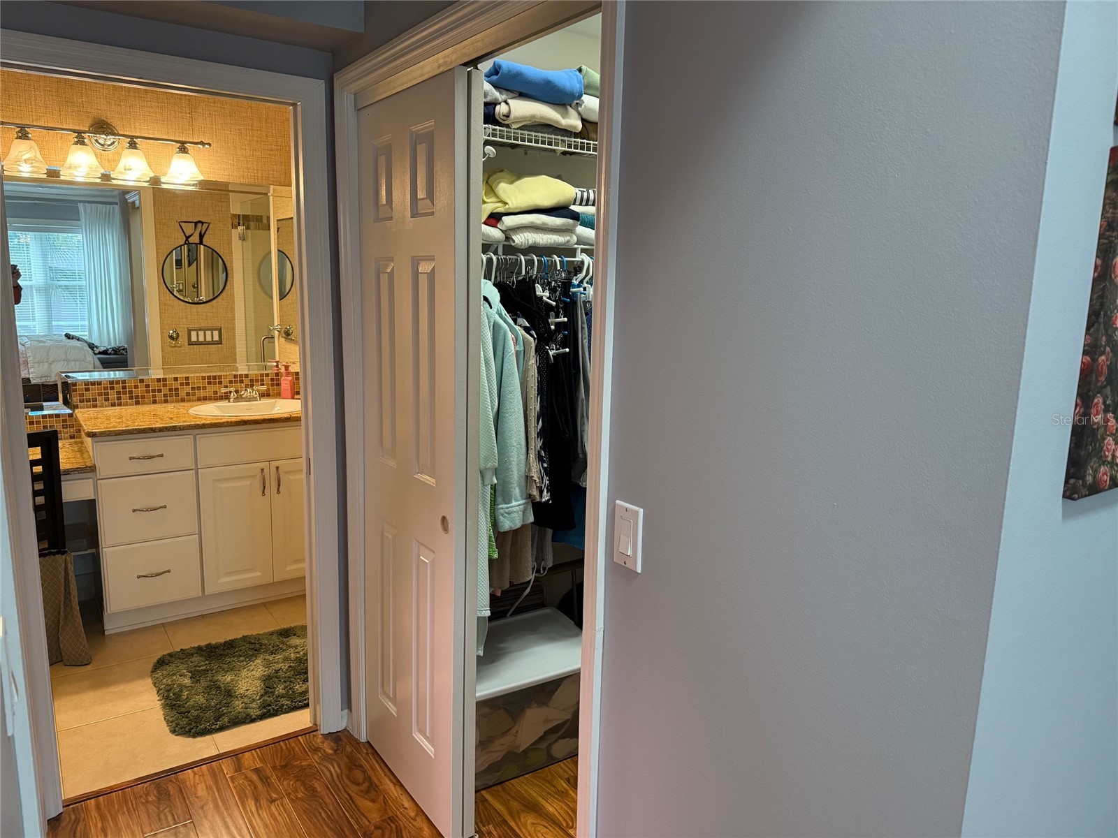 725 Palma Drive The Villages FL 32159 OM717561 image25