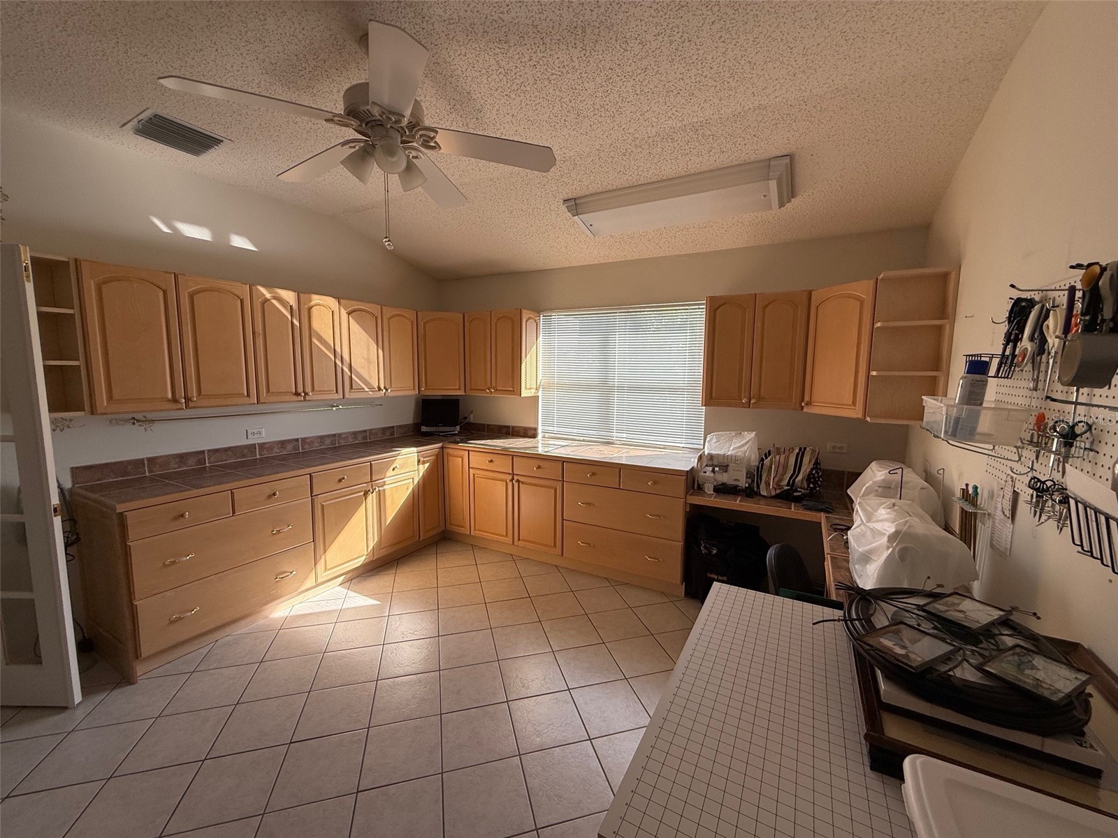 725 Palma Drive The Villages FL 32159 OM717561 image27