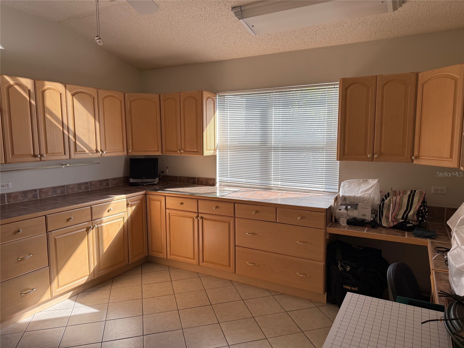 725 Palma Drive The Villages FL 32159 OM717561 image28