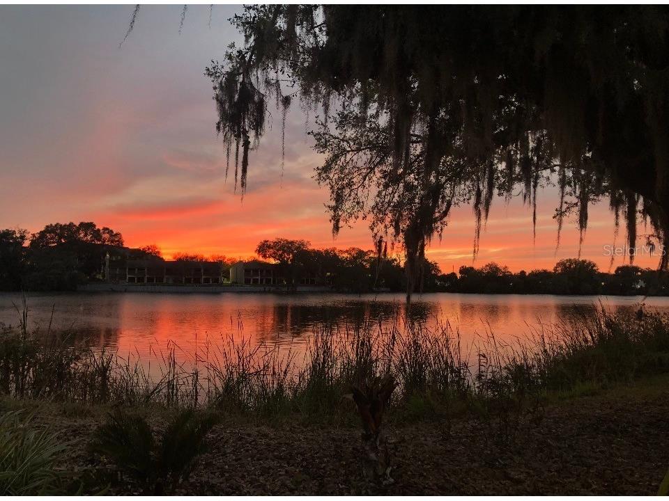 725 Peninsular Drive Lakeland FL 33813 - LAKE CLARK NORTH L4960006 image2