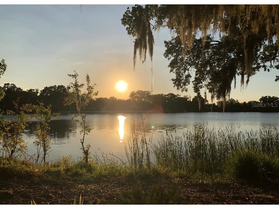 725 Peninsular Drive Lakeland FL 33813 - LAKE CLARK NORTH L4960006 image65