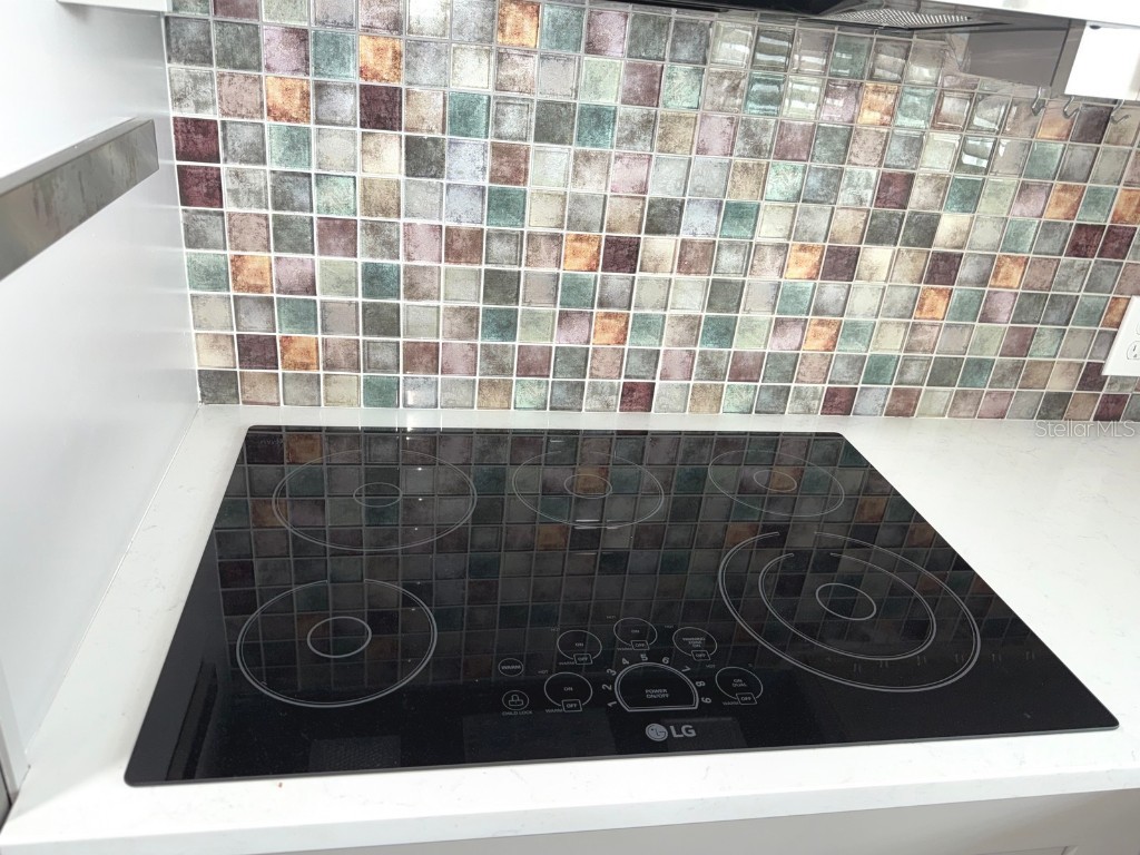 725 Sugar Palm Street Largo FL 33778 TB8400890 image19