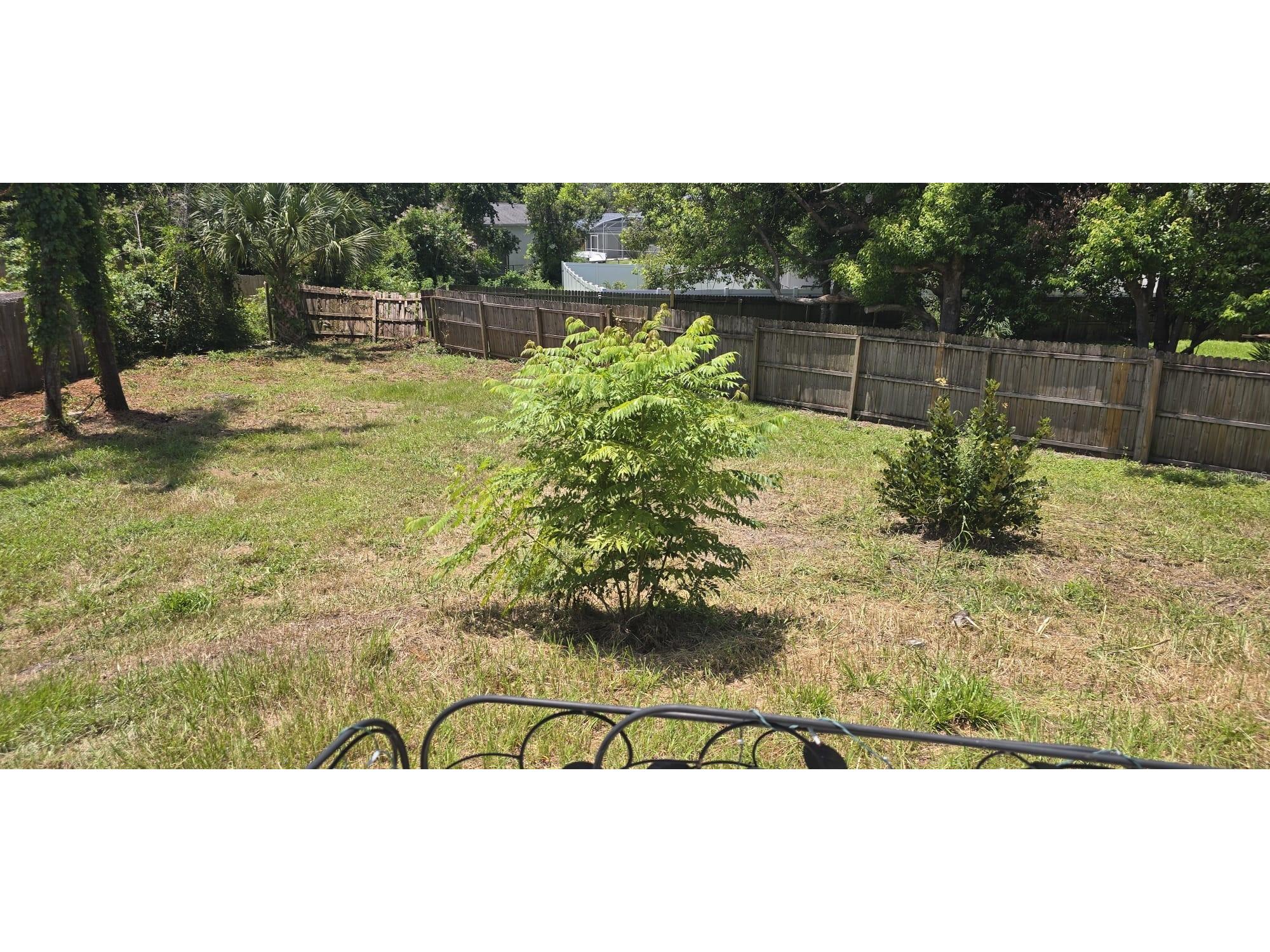 725 Tulip Court Deltona FL 32725 O6424690 image33