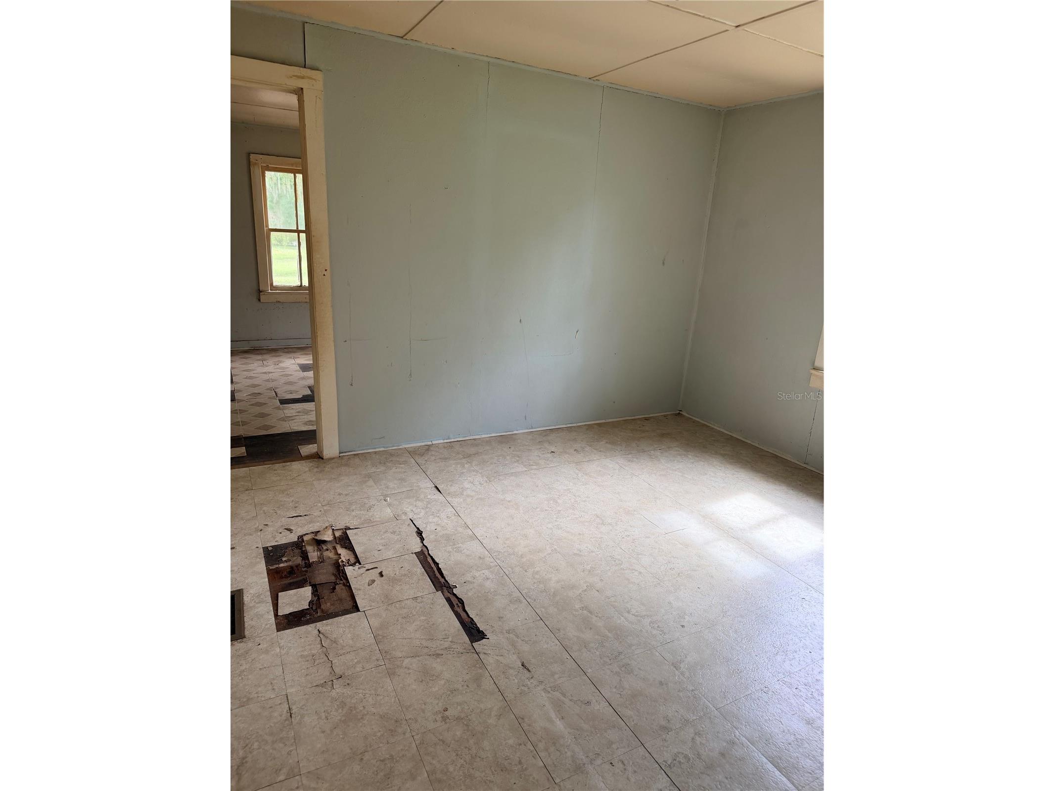 725 W Socrum Loop Road Lakeland FL 33809 P4937224 image18