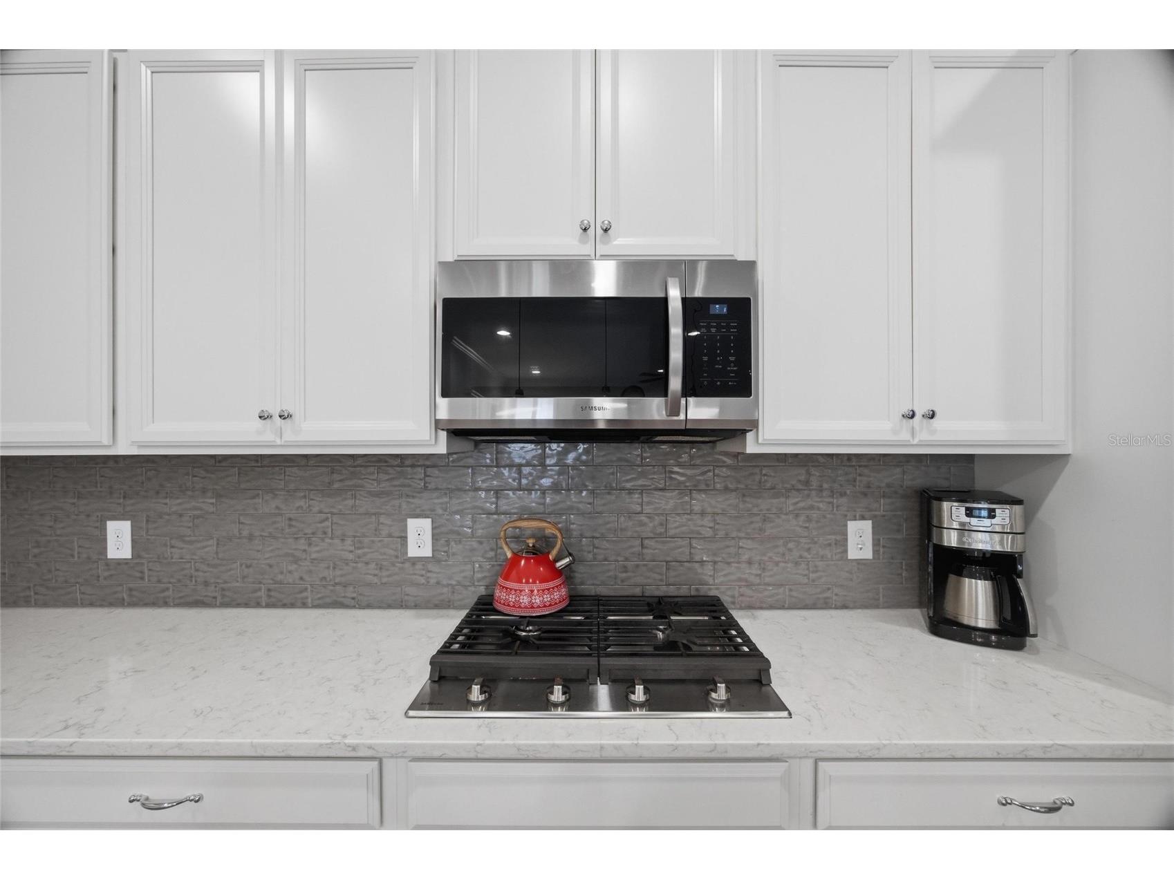 725 Winterside Drive Apollo Beach FL 33572 TB8510516 image17