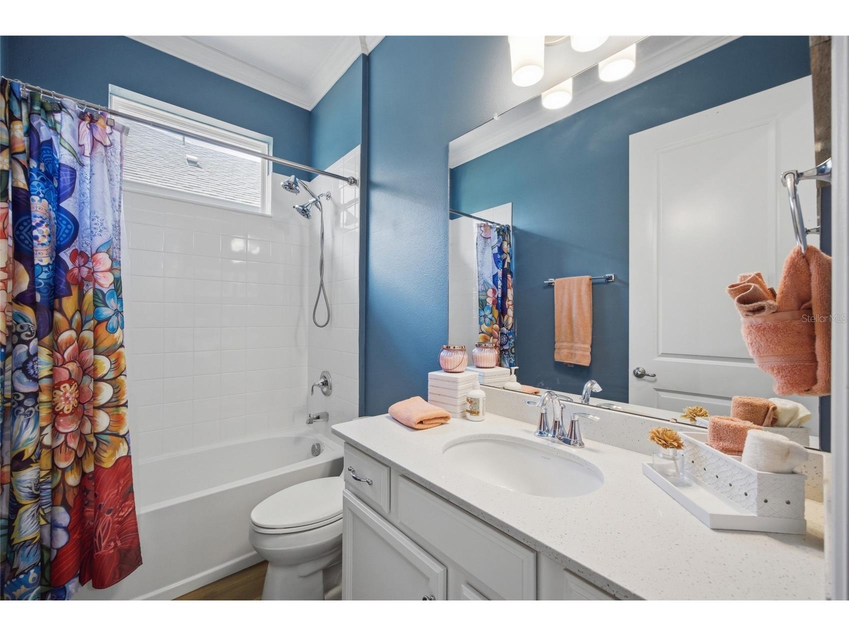 725 Winterside Drive Apollo Beach FL 33572 TB8510516 image31