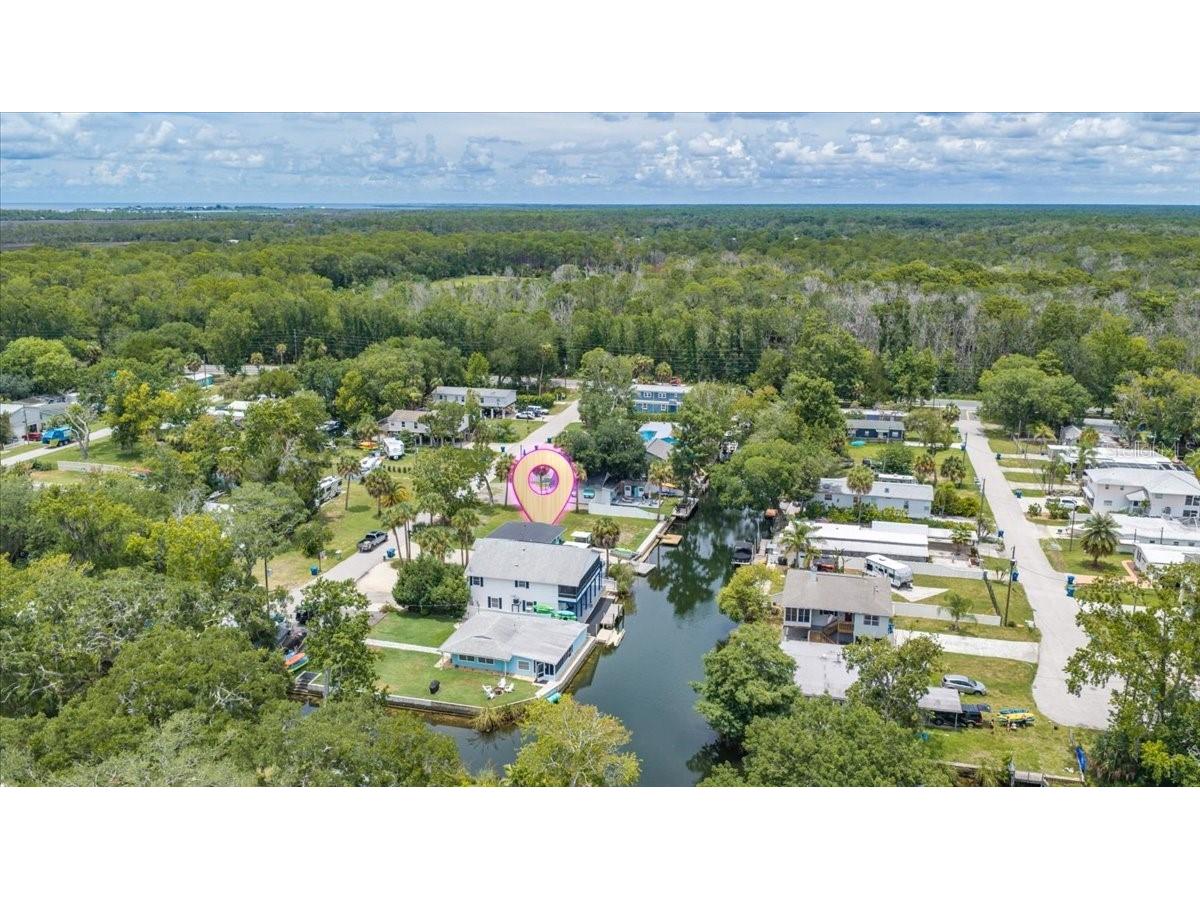 7250 Coventry Court Spring Hill FL 34607 - WEEKI WACHEE RIVER TB8526664 image4