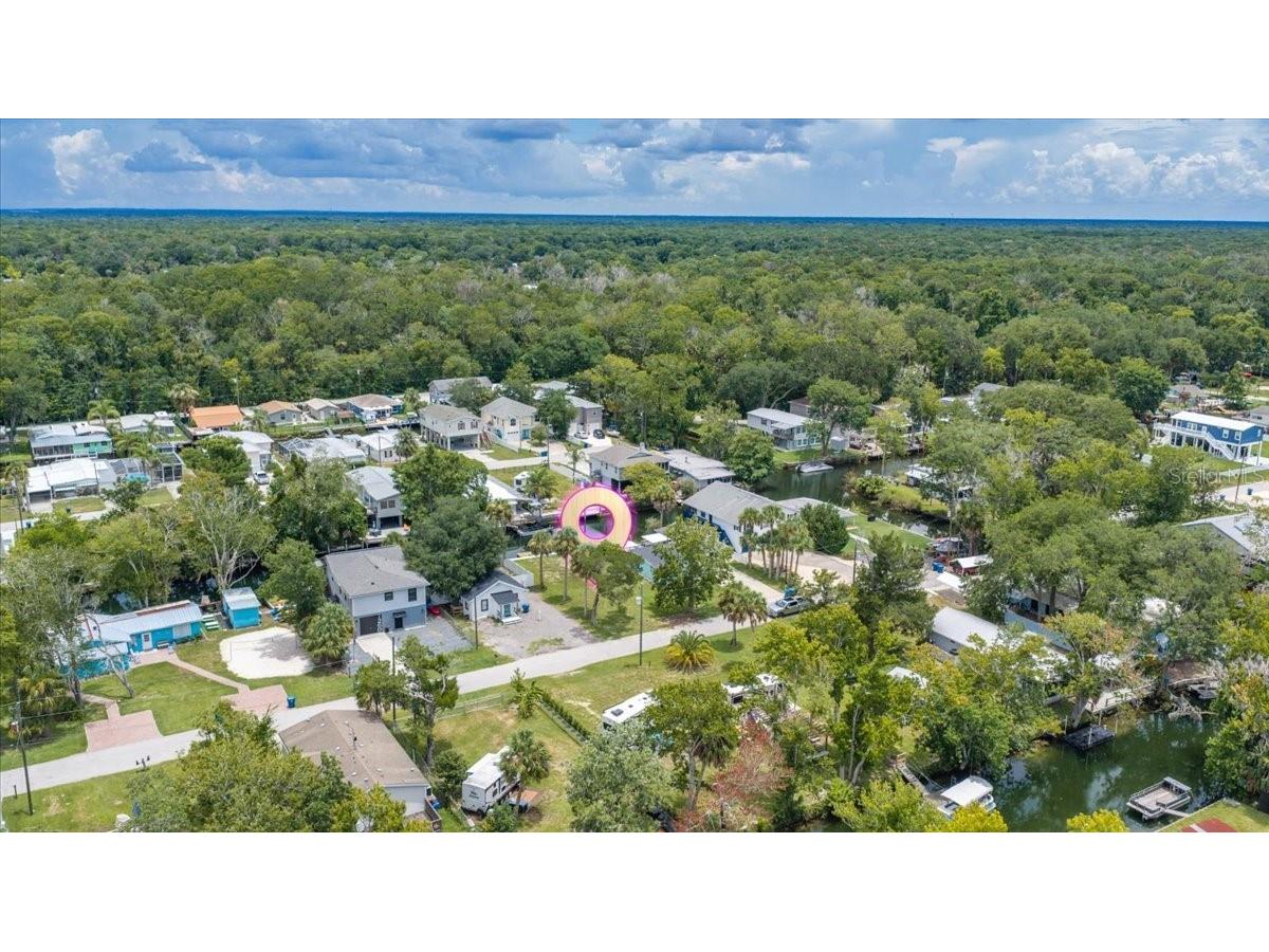 7250 Coventry Court Spring Hill FL 34607 - WEEKI WACHEE RIVER TB8526664 image8