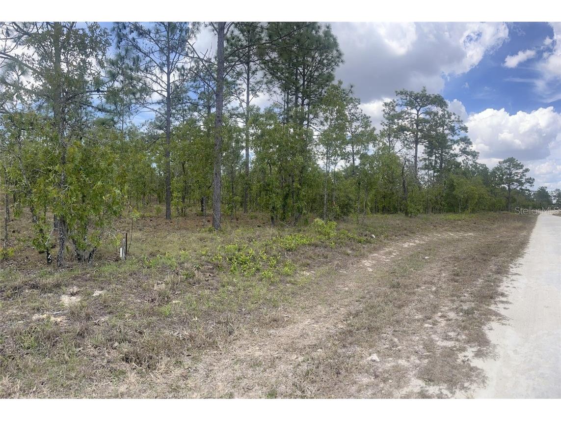 7250 SE 147th Avenue Morriston FL 32668 O6102576 image1