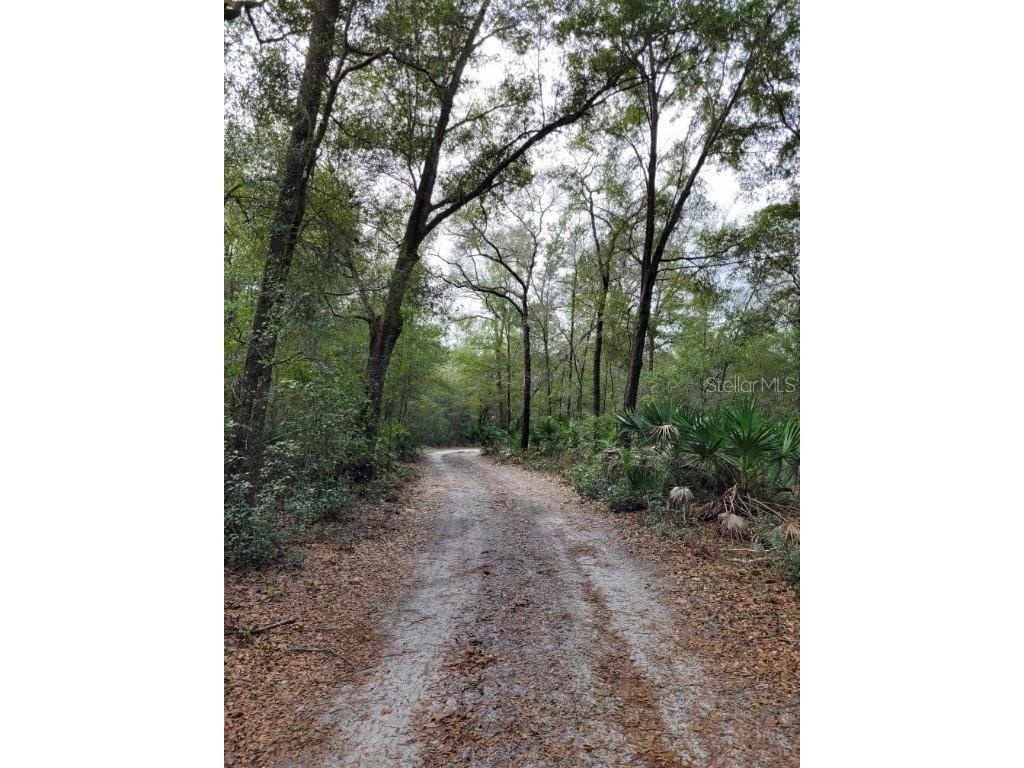 7250 W Citron Lane Dunnellon FL 34433 OM652149 image1