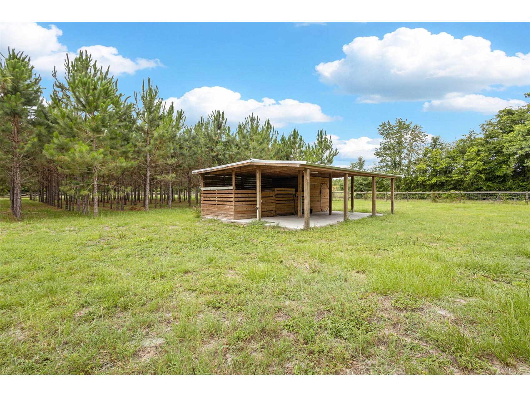 7251 NW 40th Street Chiefland FL 32626 O6414193 image38