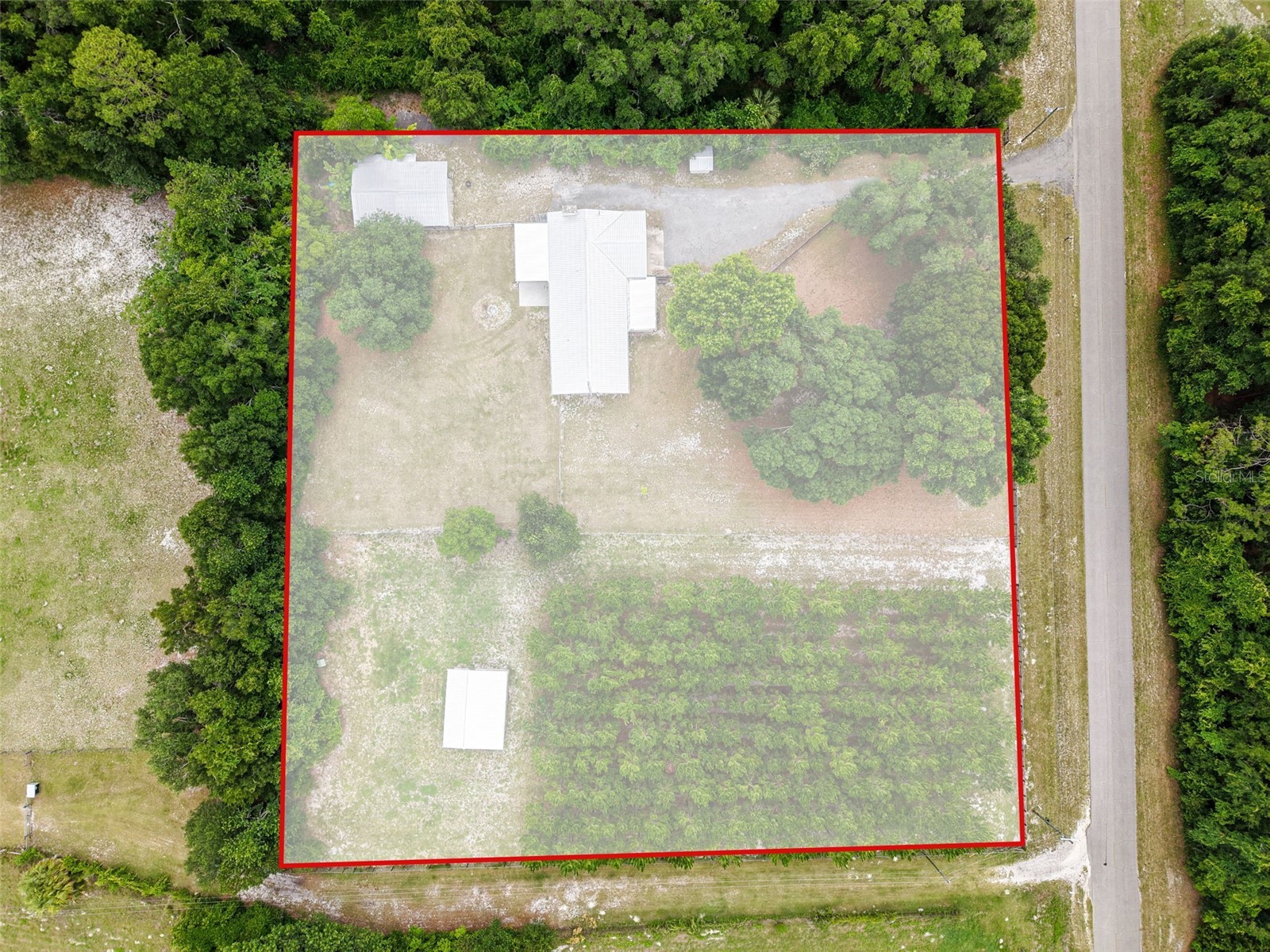 7251 NW 40th Street Chiefland FL 32626 O6414193 image39