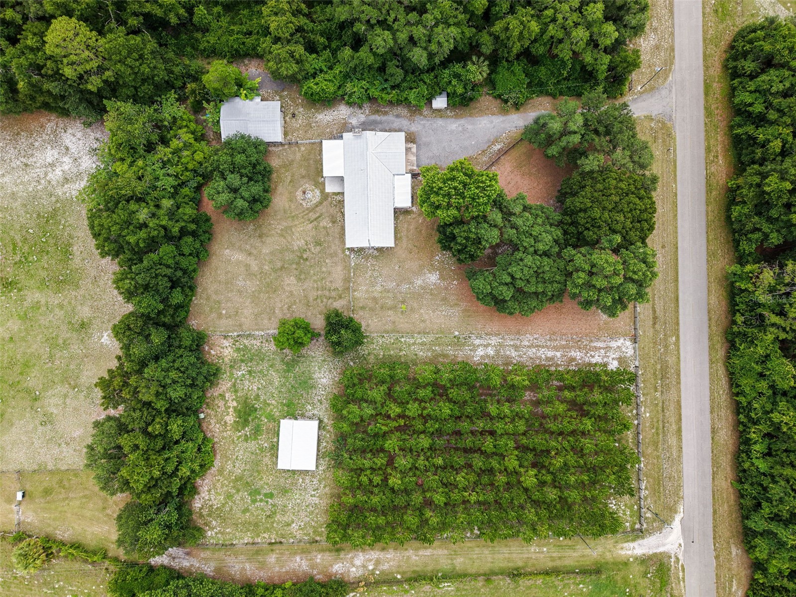 7251 NW 40th Street Chiefland FL 32626 O6414193 image50