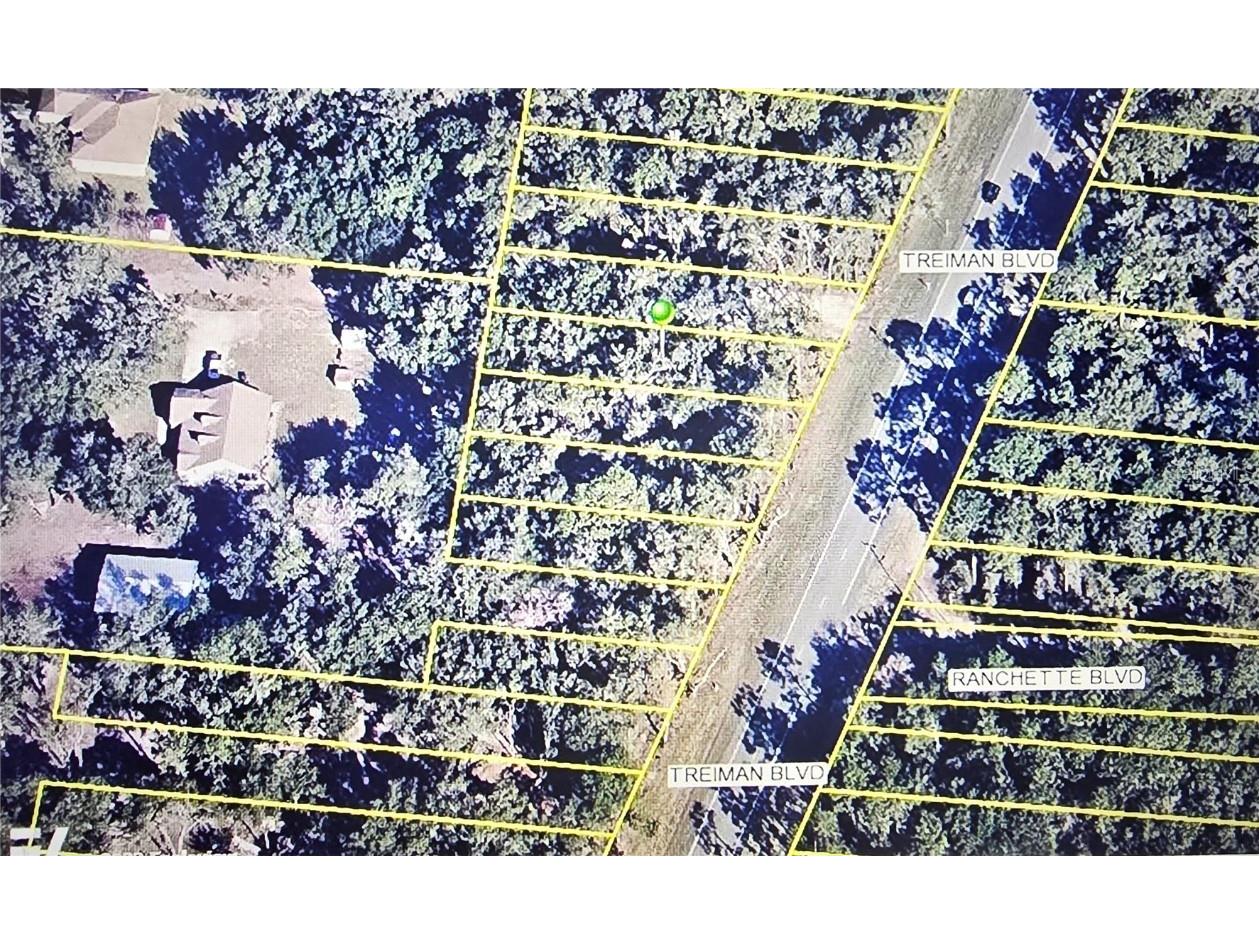 7251 Treiman Boulevard Webster FL 33597 L4953704 image1