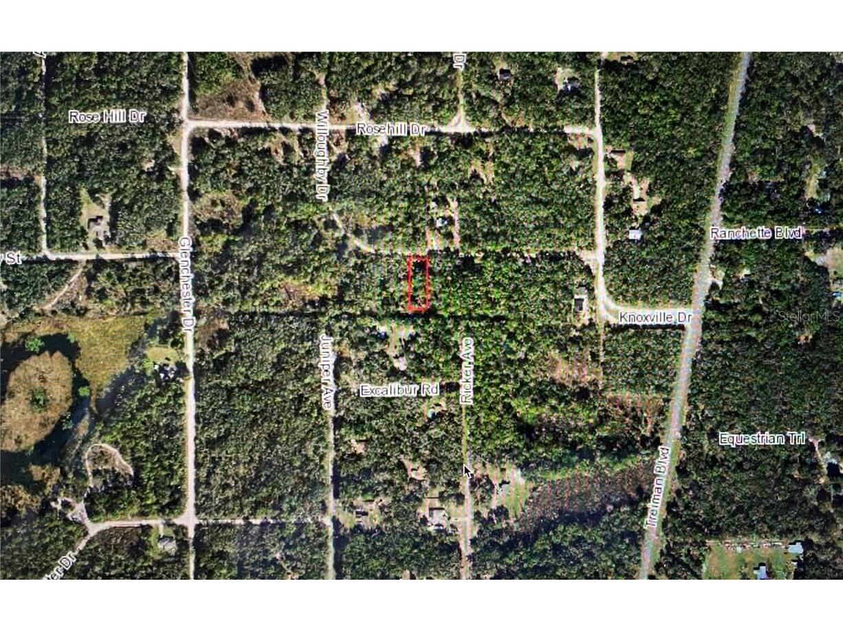 7251 Willoughby Drive Webster FL 33597 G5042743 image1