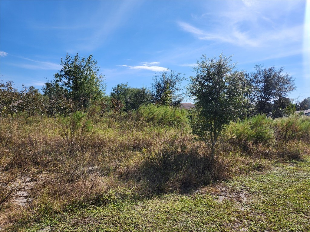 7252 Sky Court #LOT 1 Spring Hill FL 34606 W7880199 image2