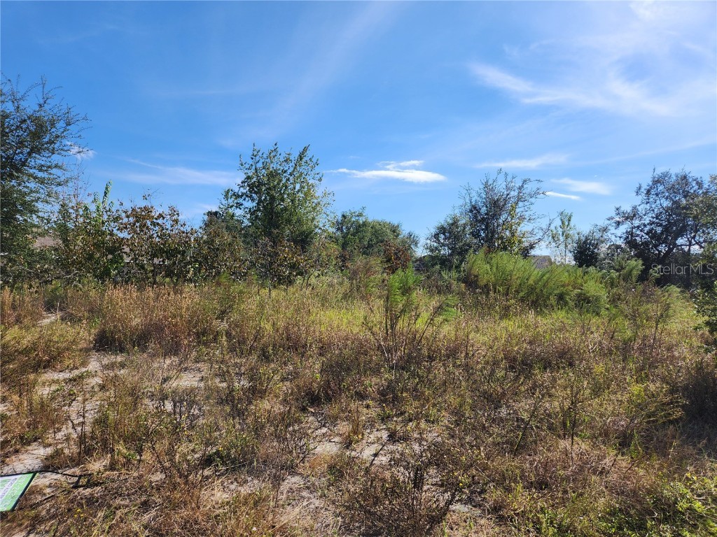 7252 Sky Court #LOT 1 Spring Hill FL 34606 W7880199 image3
