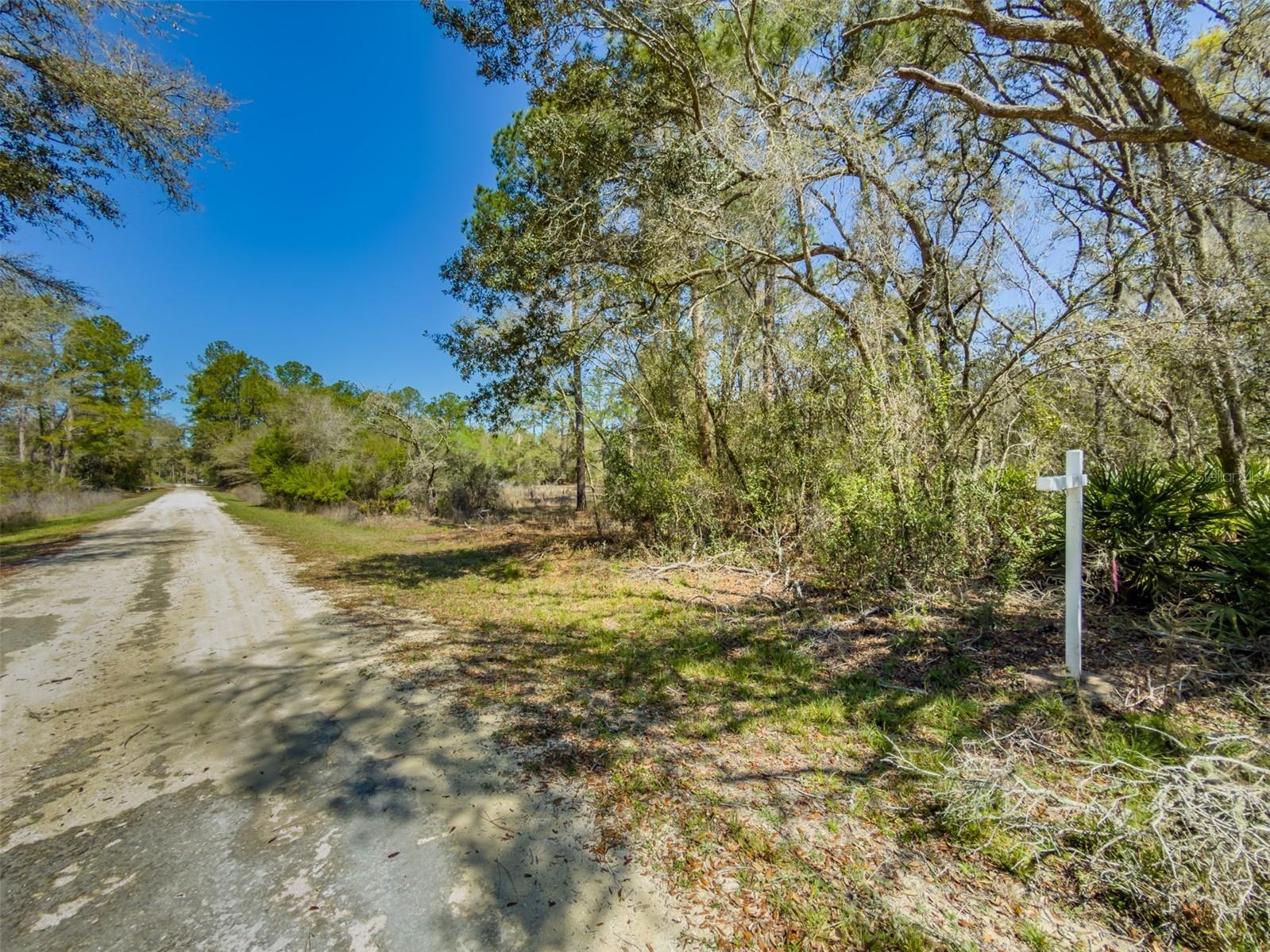 7252 Sonia Avenue Webster FL 33597 TB8487924 image10