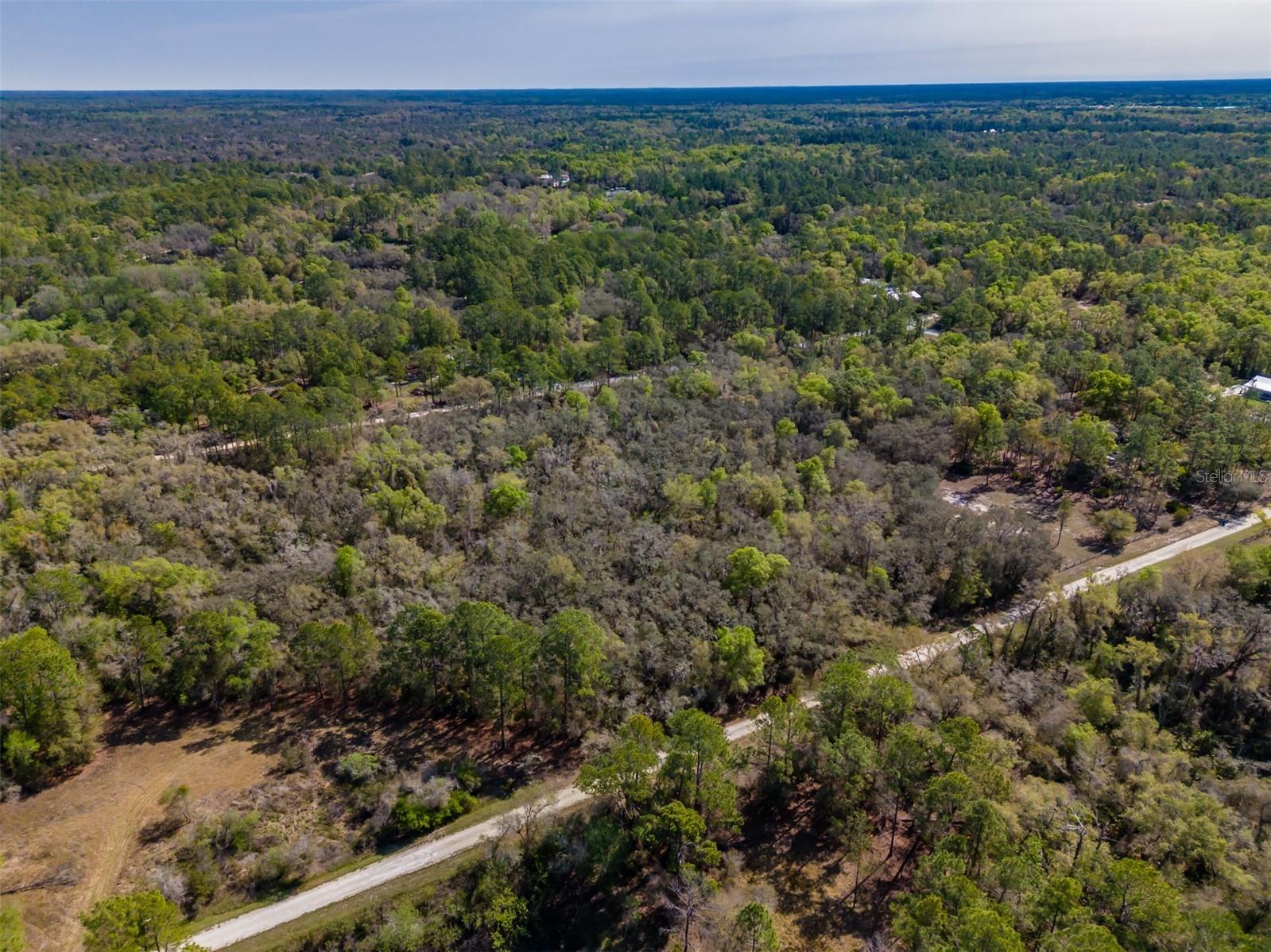 7252 Sonia Avenue Webster FL 33597 TB8487924 image11