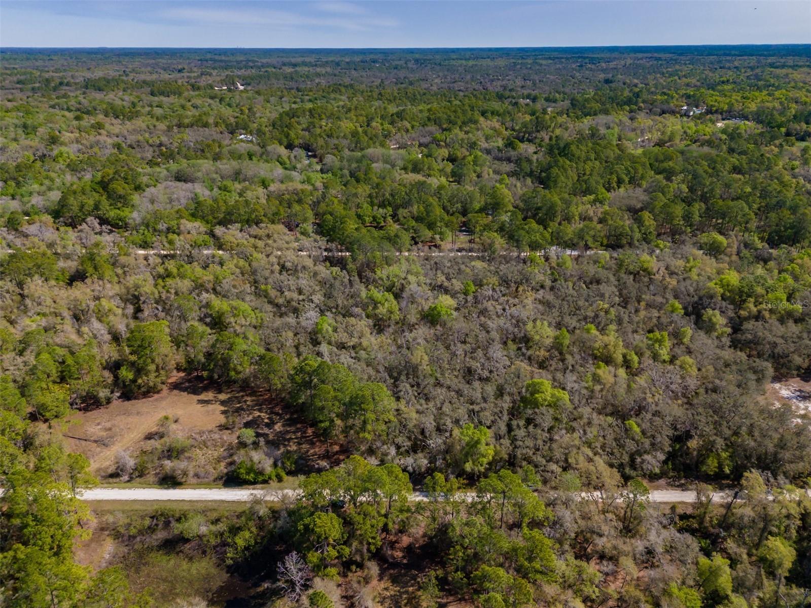 7252 Sonia Avenue Webster FL 33597 TB8487924 image15