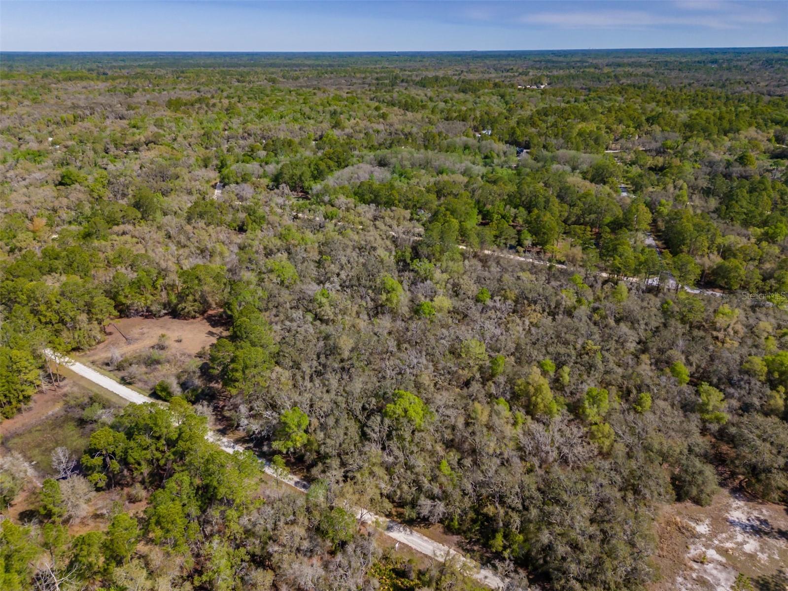 7252 Sonia Avenue Webster FL 33597 TB8487924 image16