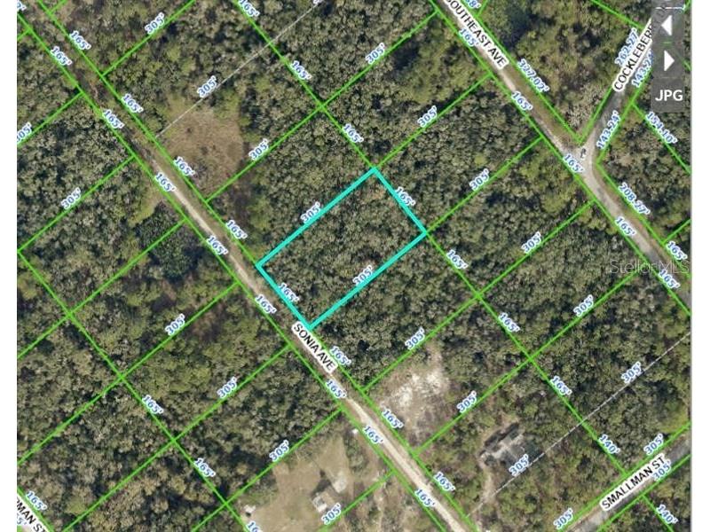 7252 Sonia Avenue Webster FL 33597 TB8487924 image19