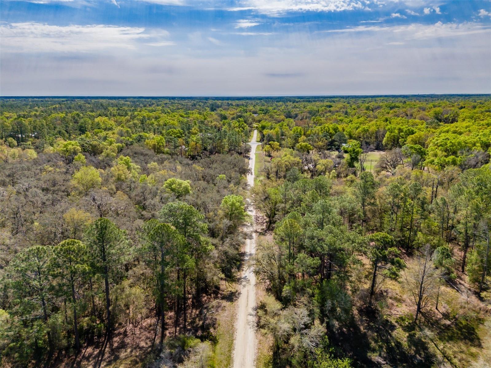 7252 Sonia Avenue Webster FL 33597 TB8487924 image3