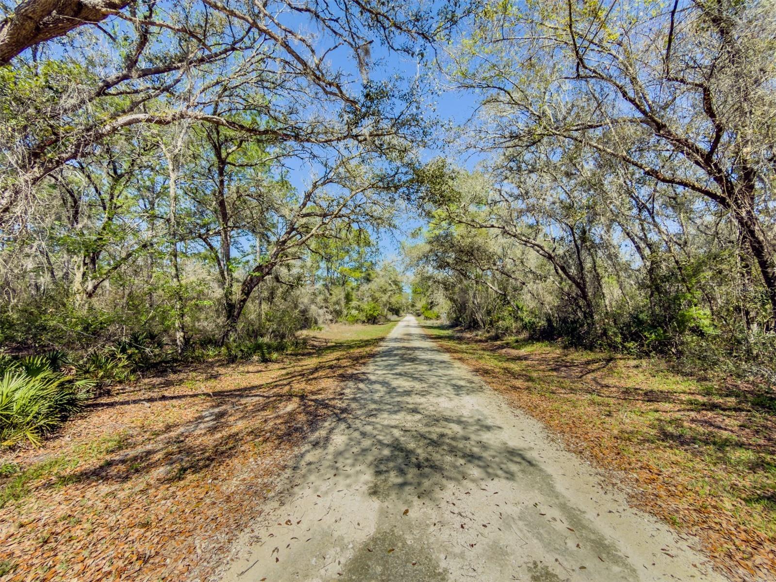 7252 Sonia Avenue Webster FL 33597 TB8487924 image4