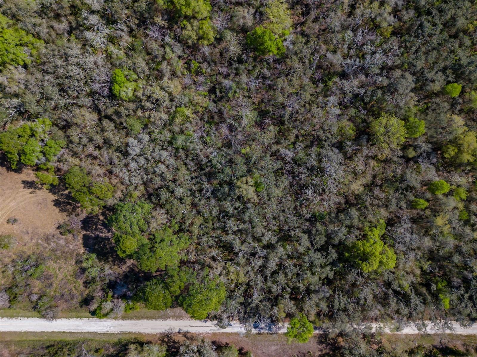 7252 Sonia Avenue Webster FL 33597 TB8487924 image5