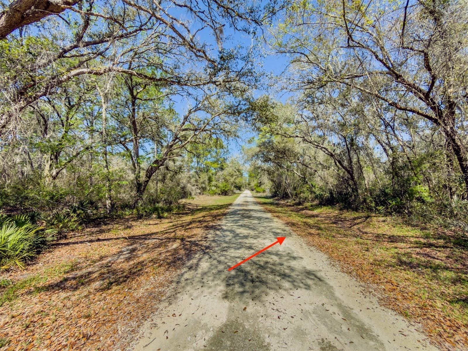 7252 Sonia Avenue Webster FL 33597 TB8487924 image7