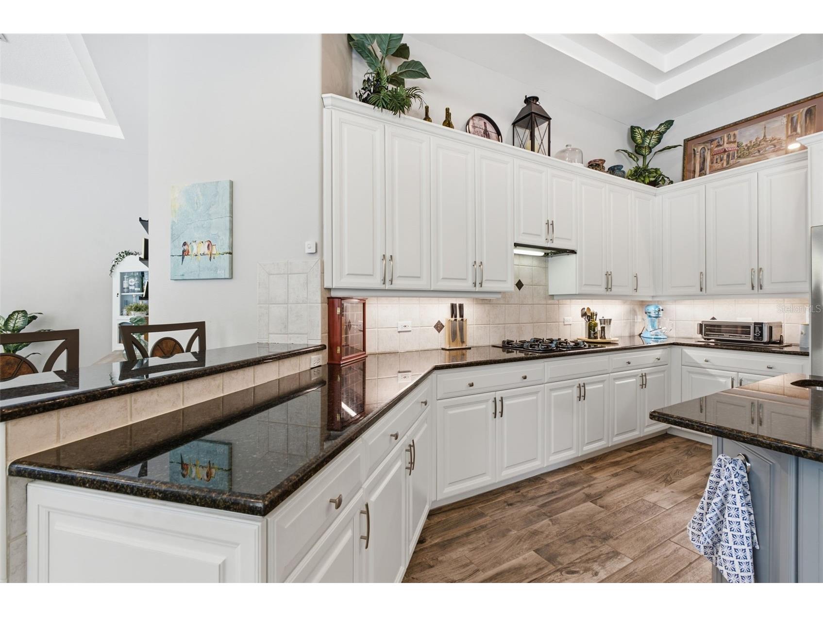 7253 Bryce Point N Pinellas Park FL 33782 TB8520400 image16